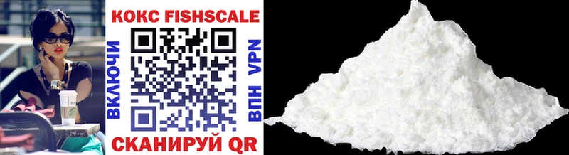 где найти наркотики  Мирный  COCAIN FishScale 