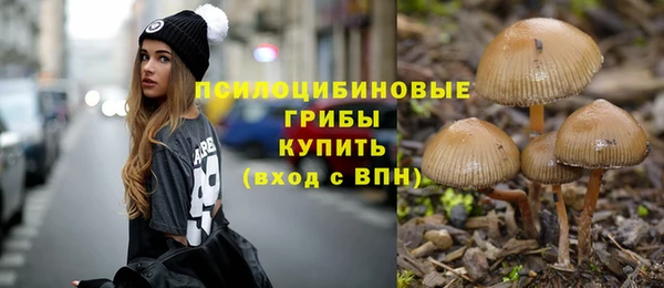 гидропоника Нязепетровск