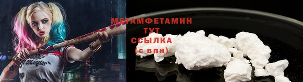 трава Новозыбков