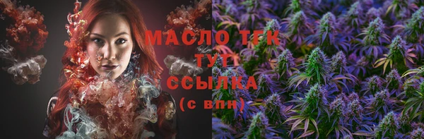 спиды Новодвинск