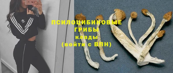 гидропоника Нязепетровск