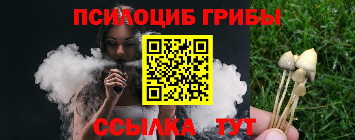 Мирный  Галлюциногенные грибы Psilocybine cubensis  Галлюциногенные грибы MAGIC MUSHROOMS  Вход с VPN 